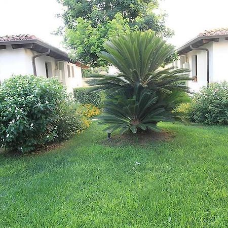 Residence Il Giunco Presicce Dış mekan fotoğraf