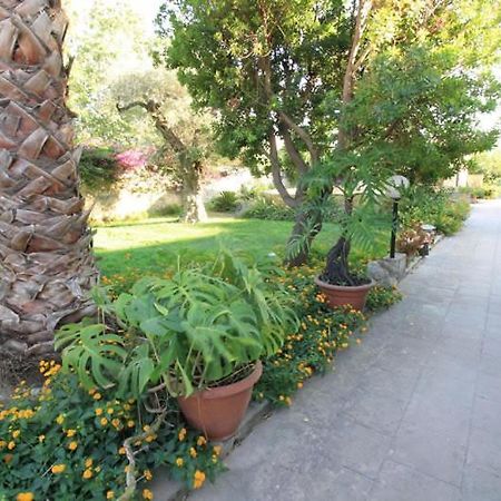 Residence Il Giunco Presicce Dış mekan fotoğraf