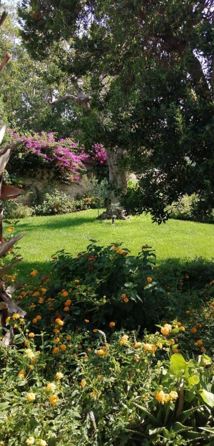 Residence Il Giunco Presicce Dış mekan fotoğraf
